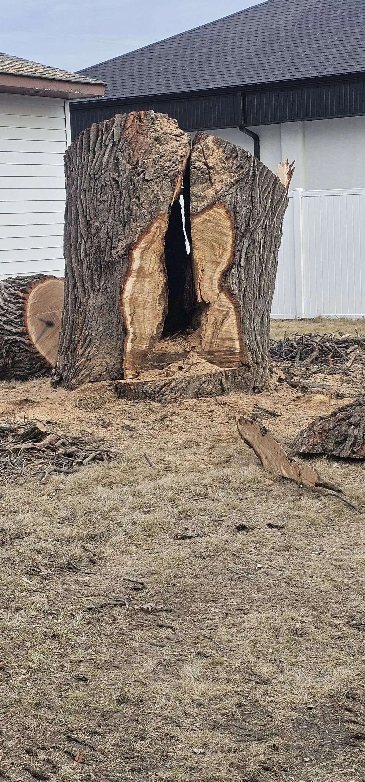 Split Tree